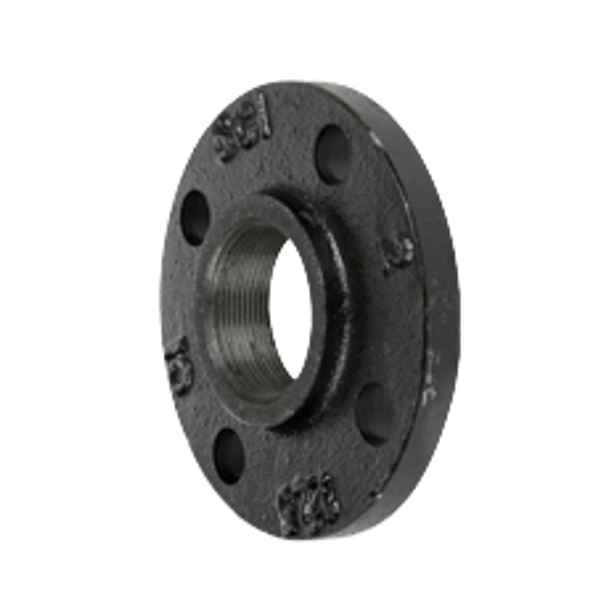 125# Cast Iron Companion Flange Threaded