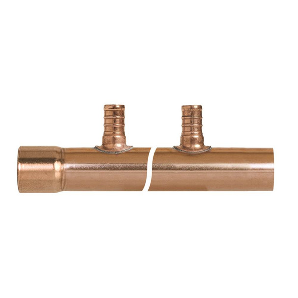 Manifold 2 Port 1ms X 1fs