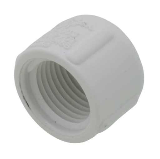 Schedule 40 PVC Cap (FPT)