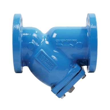 Cast Iron, Class 125 Flanged End, Wye-Pattern Strainers with FDA Epoxy Coating