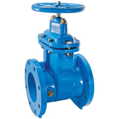 125# NRS Flanged Gate Valves - Epoxy Coated