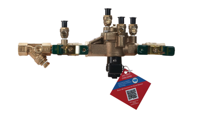 Watts reduced pressure zone backflow preventer with shutoff valves, strainer, and flood sensor