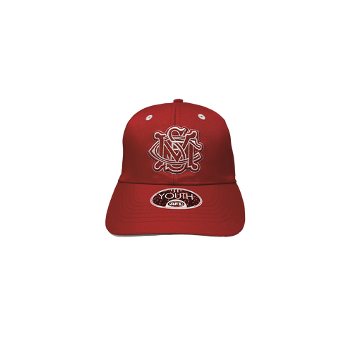 Sydney Swans AFL Youth 3D logo Cap