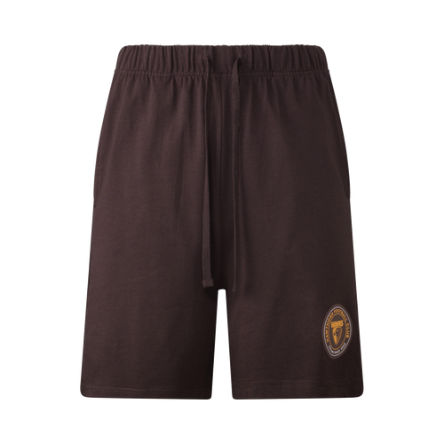 Hawthorn Hawks S21 Mens Logo Short