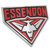 Essendon Bombers 3D Chrome AFL Supporter Emblem