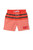 St George Illawarra Dragons  NRL Mens Club Board Short