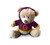 Brisbane Broncos NRL Plush Teddy With Hoodie