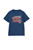 Melbourne Demons Mens Souvenir Tee