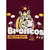 Brisbane Broncos Kids  Supporter Tee