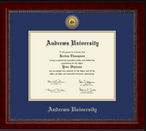 Framing Success, Diploma Frame - Andrews University - Classic Moulding