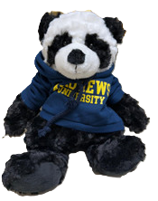 Cuddly Buddy Panda