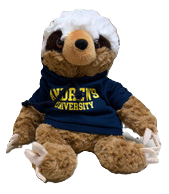 Cuddly Buddy Sloth