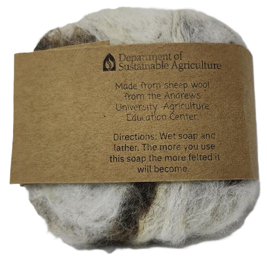 Goat Milk Soap - Citrus Scent, Wool Felted