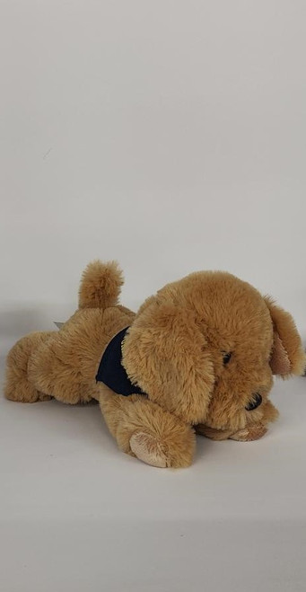 Tiny Tykes, Mini Golden Retriever