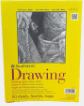 B -  Drawing  Medium Surface Pad 9X12  20 sheet s