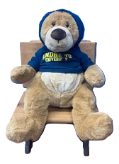 Bruno the Bear - w/hoodie - Andrews University