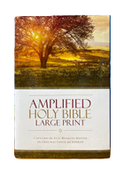 B - Amplified Holy Bible - Large Print