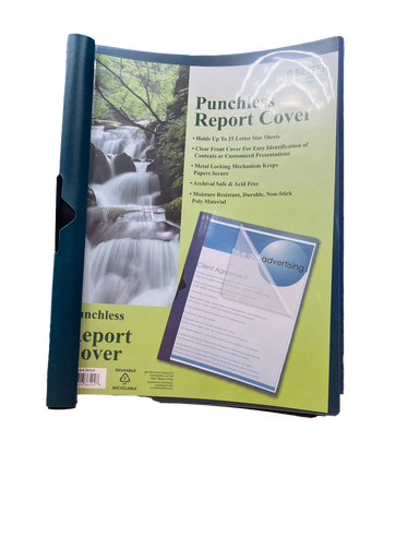 B - Punchless Report Cover