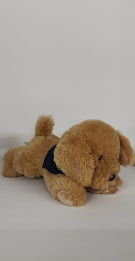 Tiny Tykes, Mini Golden Retriever