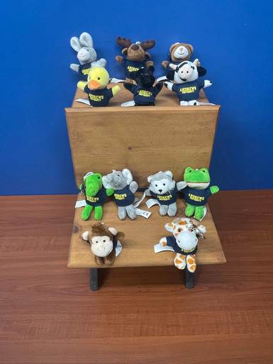 Keychain w/T-shirt Navy - Andrews over University