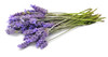 Lavender Essential Oil