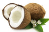 Coconut Body Oil