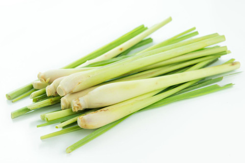 Lemongrass Essential Oil