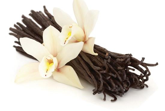 Vanilla Essential Oil