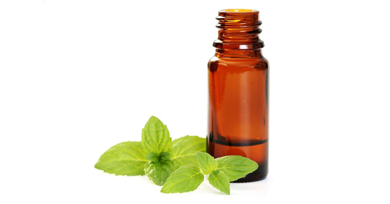 Benefits Of Peppermint Essential Oil Hairobics All Natural 7220