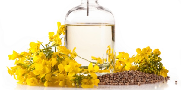Benefits of Canola Oil for Natural Hair