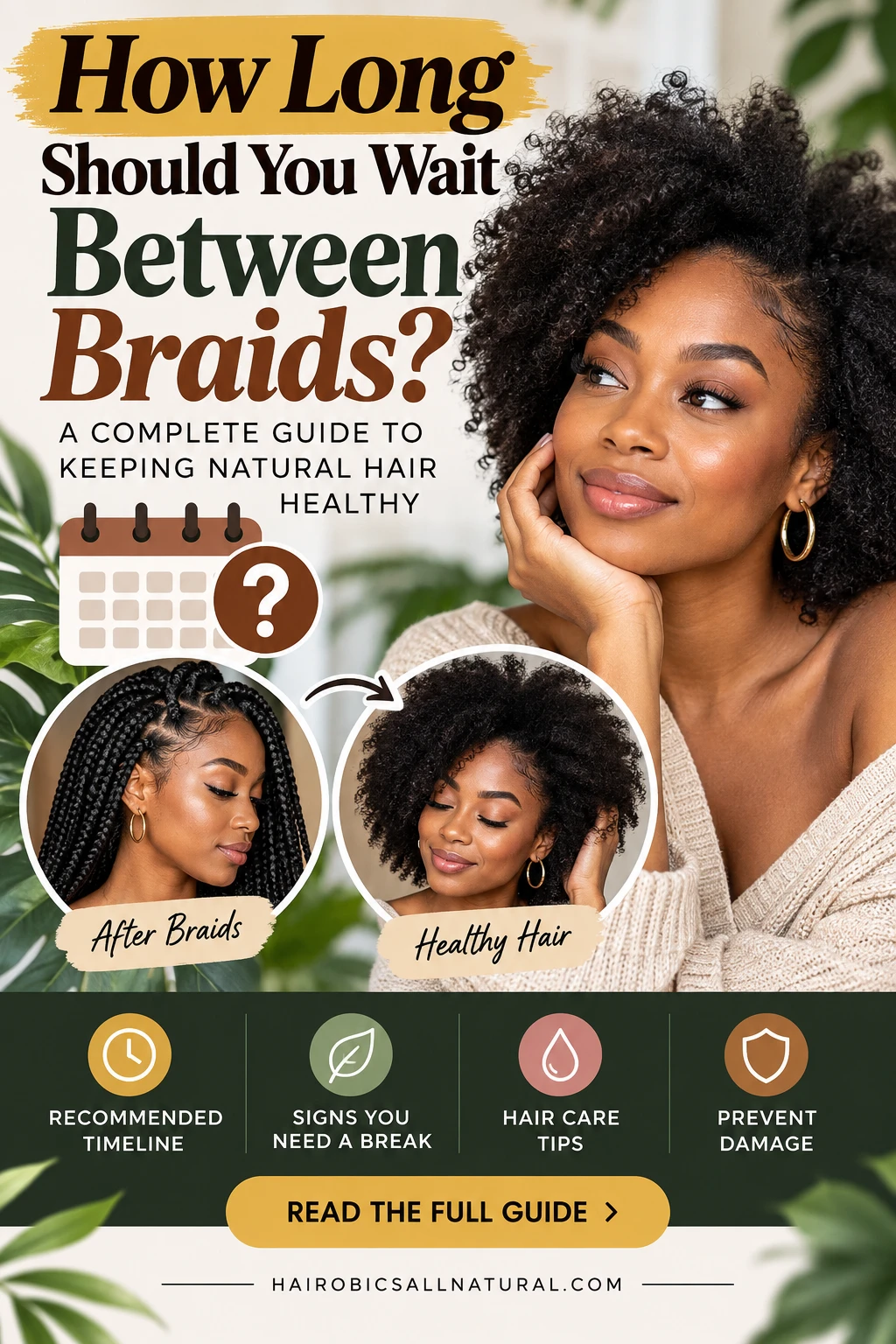 How Long Should You Wait Between Braids? The Complete Guide to Protecting Your Natural Hair and Scalp