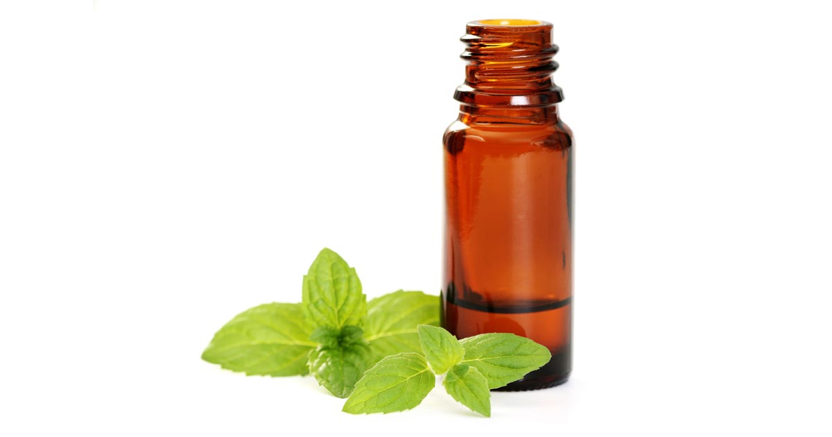 Benefits of Peppermint Essential Oil