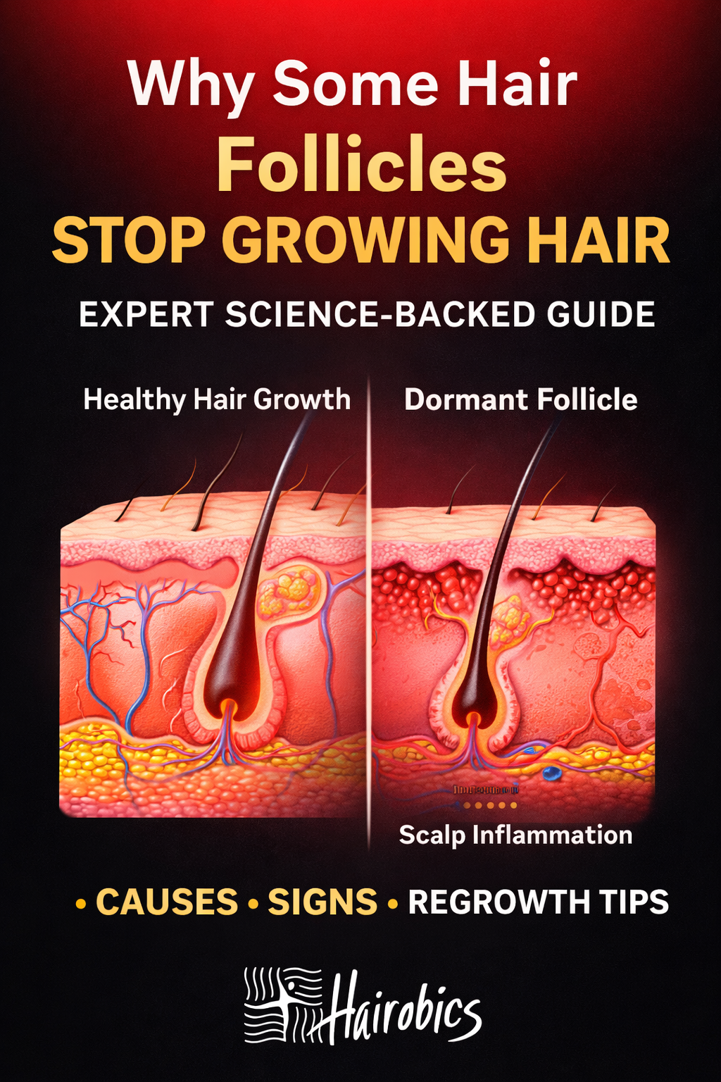 Why Some Hair Follicles Stop Growing Hair