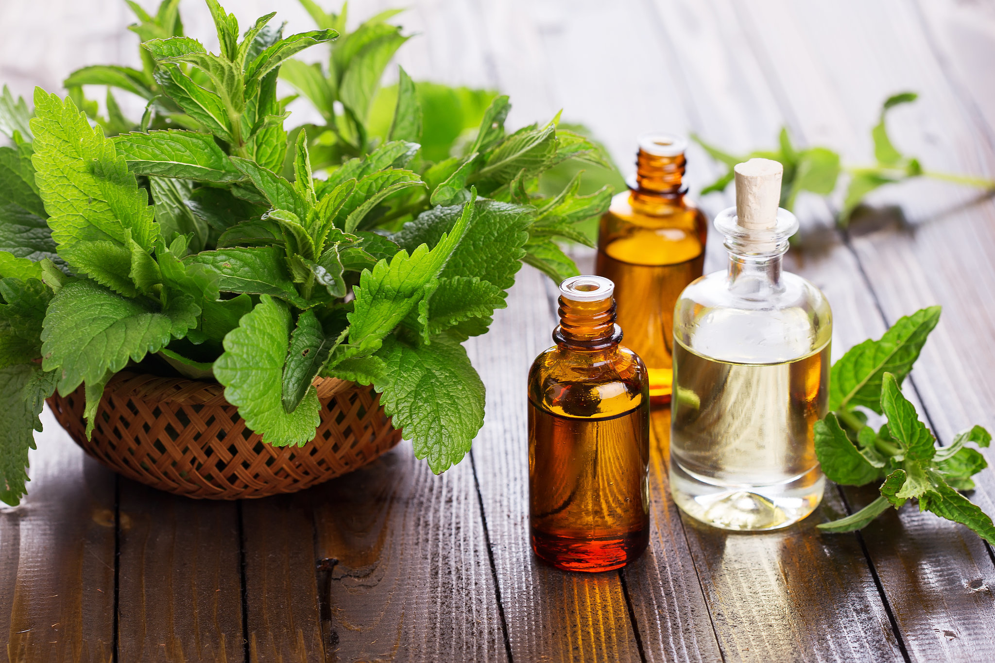 peppermint oil for hair growth before and after