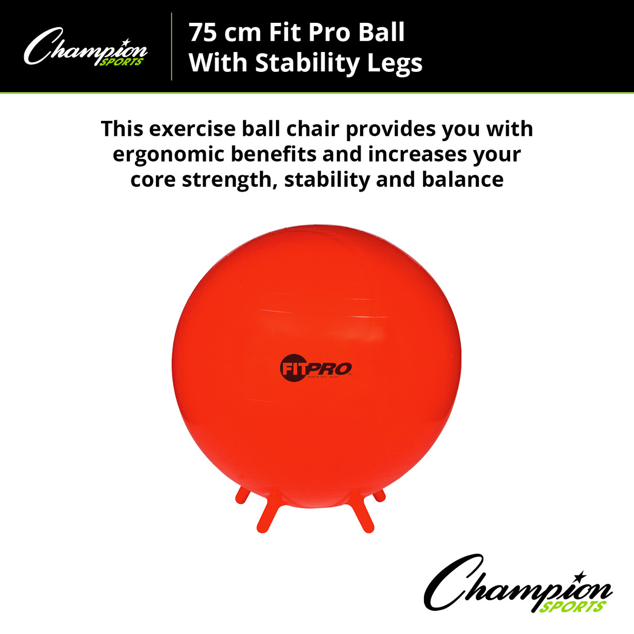 Champion Sports FitPro Stability Ball - Thumbnail 4