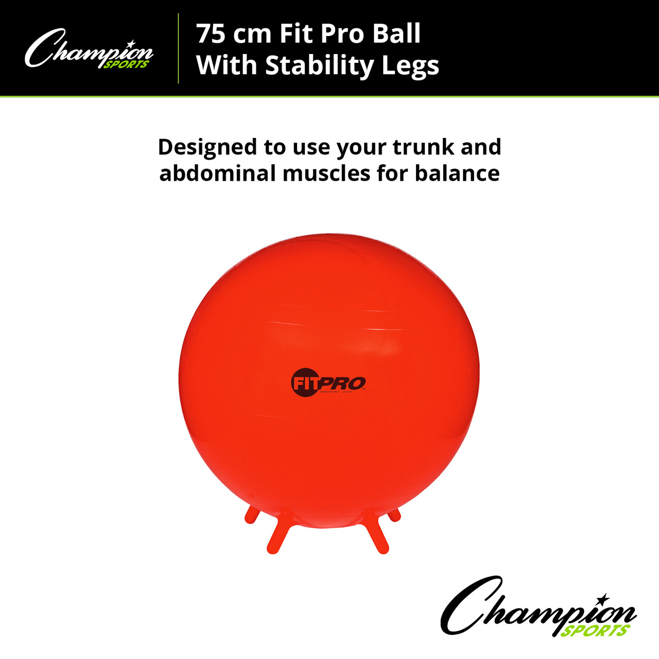 Champion Sports FitPro Stability Ball - Thumbnail 5