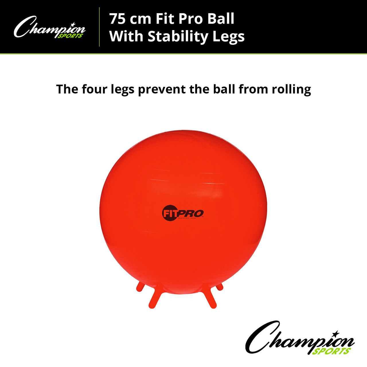 Champion Sports FitPro Stability Ball - Thumbnail 5
