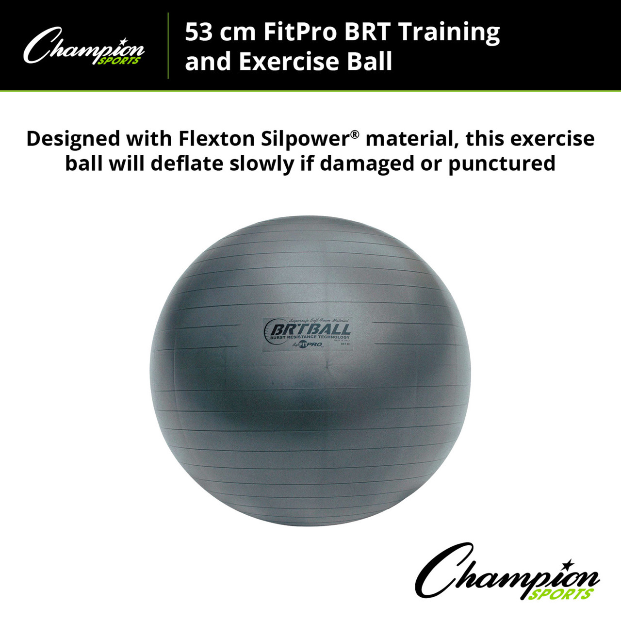 FITPRO BRT TRAINING & EXERCISE BALL - Champion Sports