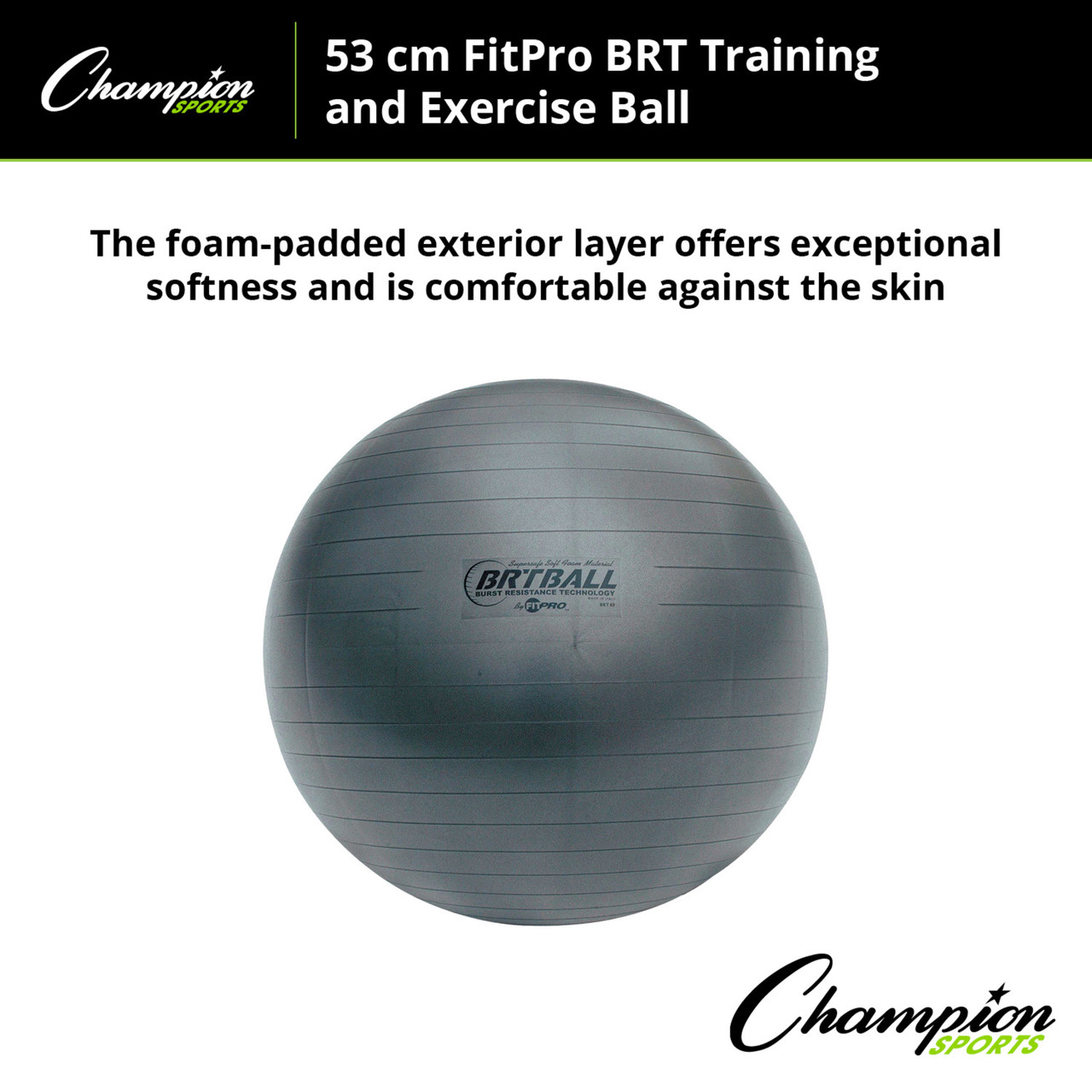 FITPRO BRT TRAINING & EXERCISE BALL - Champion Sports