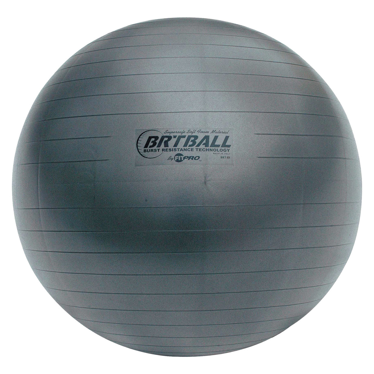 FITPRO BRT TRAINING & EXERCISE BALL - Champion Sports