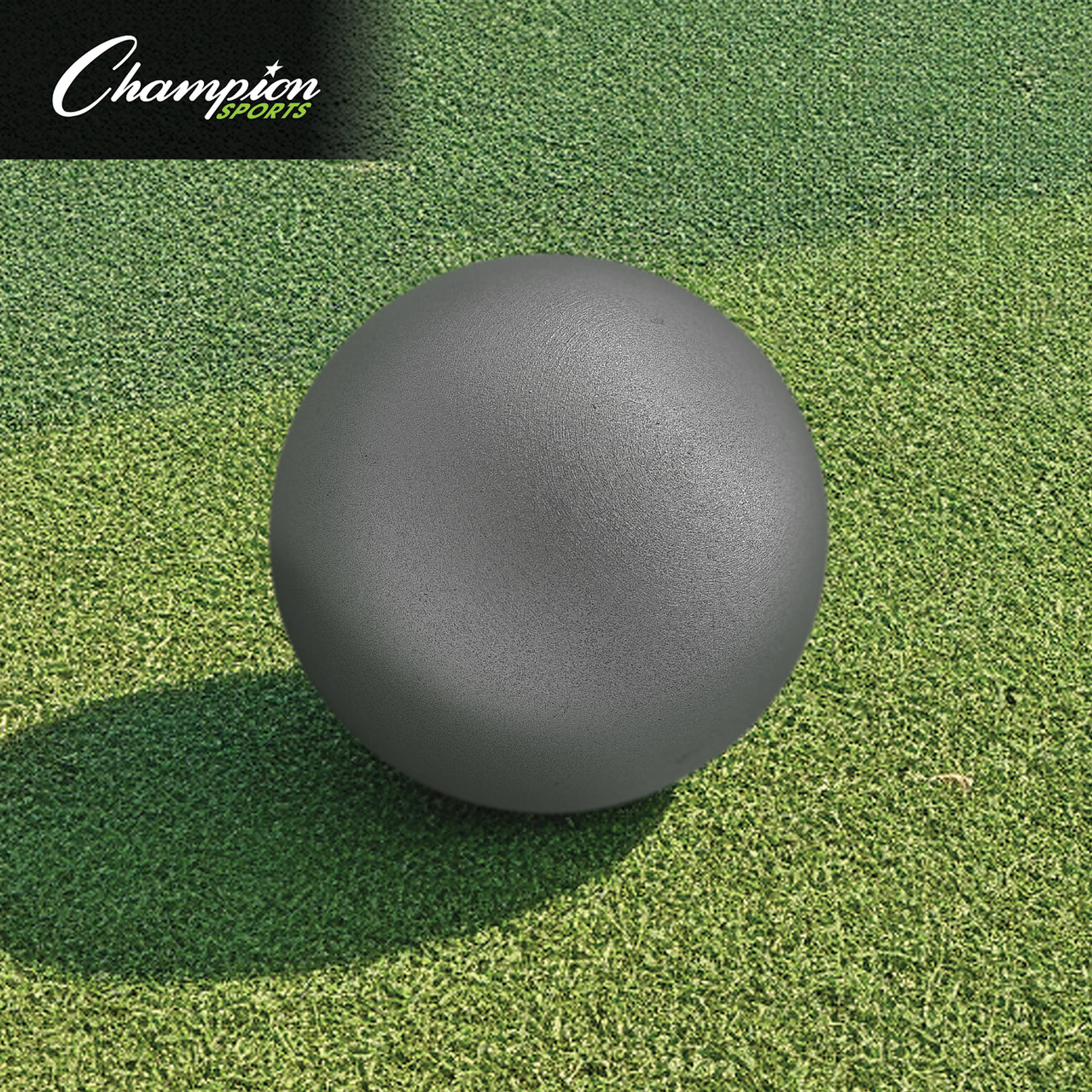 Champion Sports Iron Shot Put