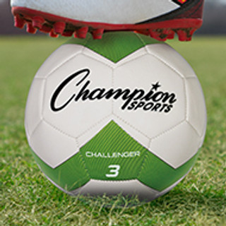 Champion DOVER SOFTBALL フード付 ビンテージ。 Champion DOVER SOFTBALL フード付 ビンテージ。 Champion