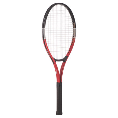 スリナクス ラジアータ(Thrinax radiata) 10号 170cm スリナクス ラジアータ(Thrinax radiata) 10号 170cm - メルカリ