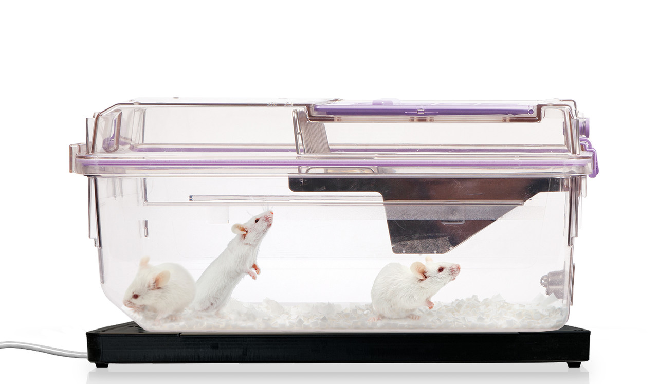 Uid Mouse Matrix UID Mouse Matrix System - Braintree Scientific - Lab Research Products