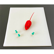 Silicon Surgical Pad