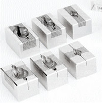 Stainless Steel Brain Matrice