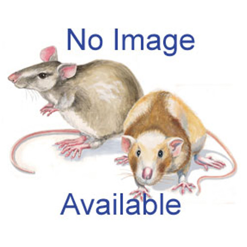 Disposable Probe Sheaths