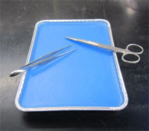 Large "Blue Wax" Dissection Tray
