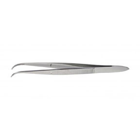Delicate Specialty Dissection Forceps