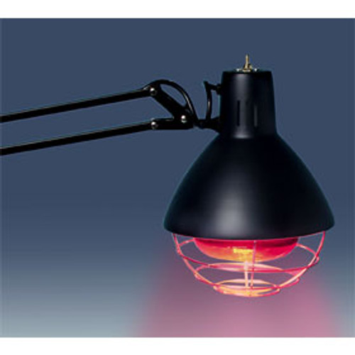 Heat Lamp w/table clamp Heat Lamp w/table clamp